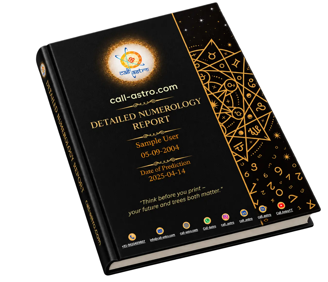 Plus Numerology Report